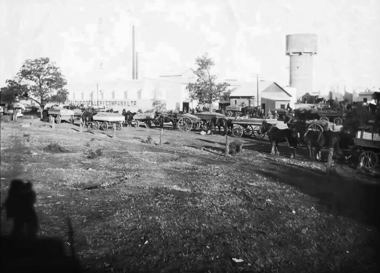 1924 BGCD Vintage