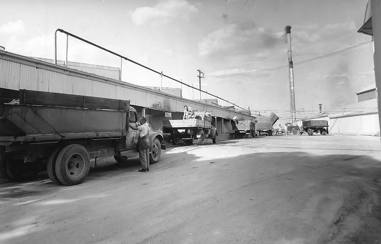 1958 Vintage, Harry Foreman at Truck